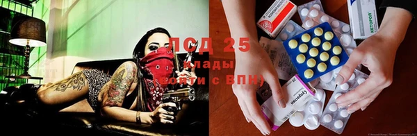 индика Навашино