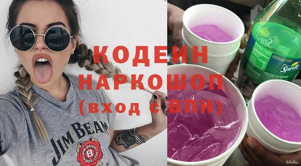 индика Нея