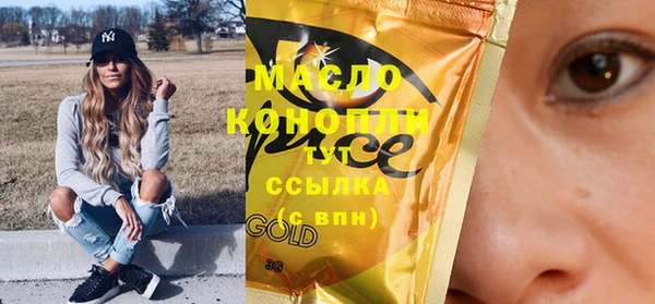 индика Нея