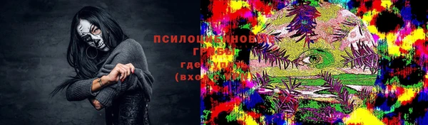 индика Нея