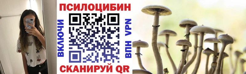 Псилоцибиновые грибы мухоморы  купить наркоту  Королёв 